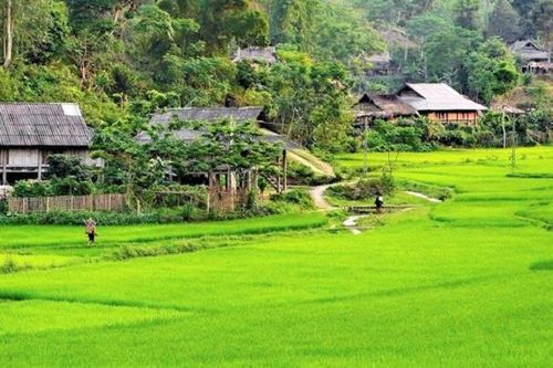 Sơn La: Xã Chiềng Yên hủy bỏ quy định người dân phải về ăn Tết trước 22 ngày