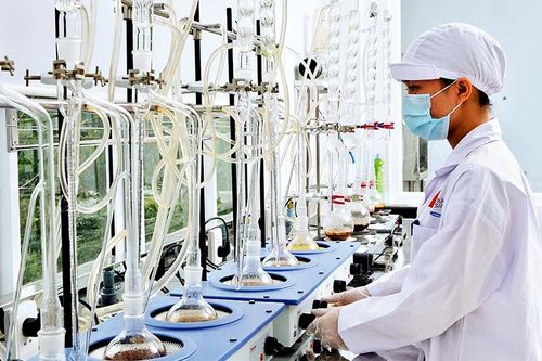 Những đơn hàng đầu năm mới đầy triển vọng