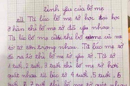 Học sinh tả tình yêu của bố mẹ gây sốt