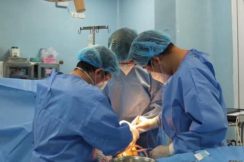Cứu sống bệnh nhân bằng màng ngoài tim bò
