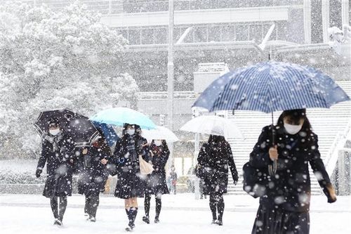 Nhật Bản: Cảnh báo tuyết rơi nhiều tại Tokyo lần đầu tiên trong 4 năm