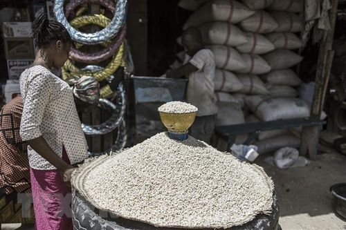 FAO: Giá lương thực trên thế giới đạt mức cao nhất trong một thập kỷ