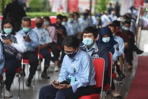 Khảo sát cho thấy 85% dân số Indonesia có kháng thể chống lại COVID-19