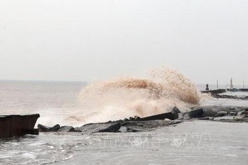 Các tỉnh, thành phố từ Quảng Ninh đến Cà Mau chủ động ứng phó gió mạnh, sóng lớn trên biển
