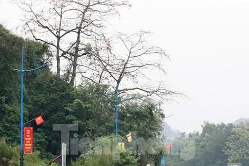 Bộ Văn hóa đề xuất tạm dừng bắn pháo hoa, tổ chức lễ hội 2022