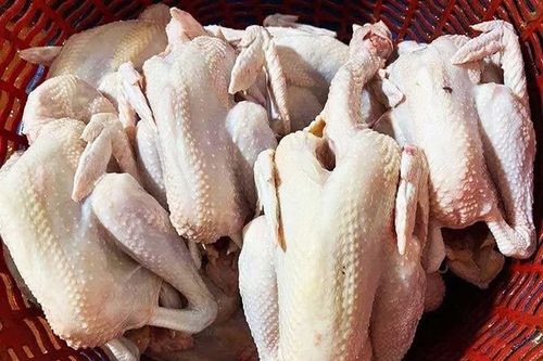 Giá Tết rẻ khó tin, đặc sản gà ri 90.000 đồng/con
