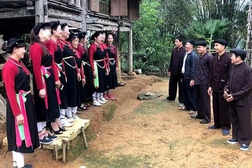 Phải lòng Shấng Cọ