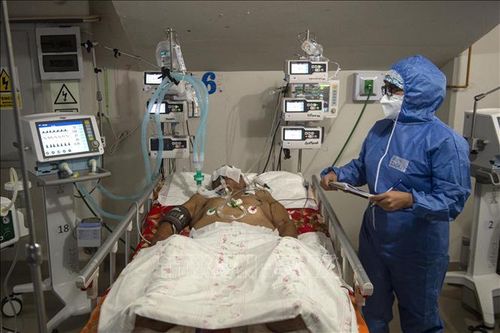 Gần 100.000 trẻ em Peru mồ côi do đại dịch COVID-19
