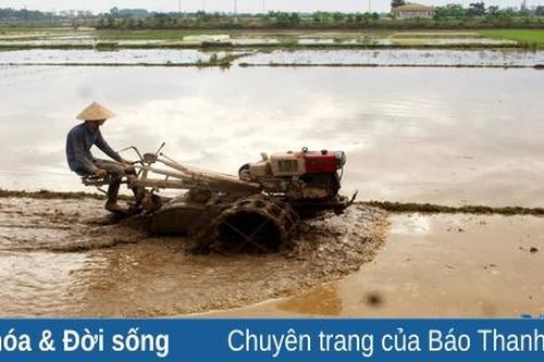 Chuẩn bị các điều kiện gieo cấy lúa đông xuân