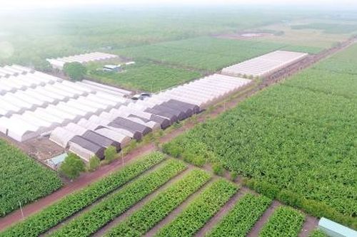 Quảng Ninh sắp có Khu nông nghiệp ứng dụng công nghệ cao