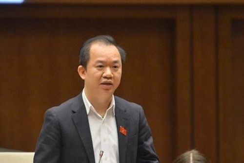 Vụ 'Tịnh thất Bồng Lai': Cần làm rõ để có giải pháp tổng thể