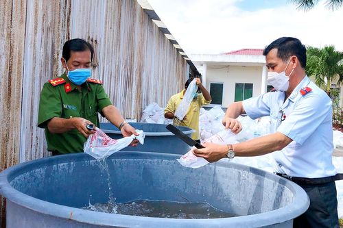 Tiêu hủy gần 5,3 triệu con tôm giống chưa qua kiểm dịch