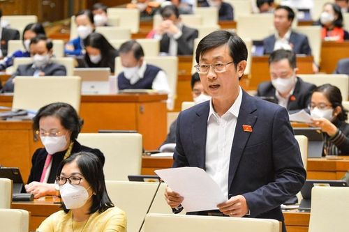 ĐBQH: Nhiều doanh nghiệp du lịch dừng hoạt động, mất khả năng trả nợ ngân hàng