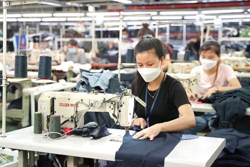 Thành phố Hồ Chí Minh: Sôi động hoạt động phát triển kinh tế