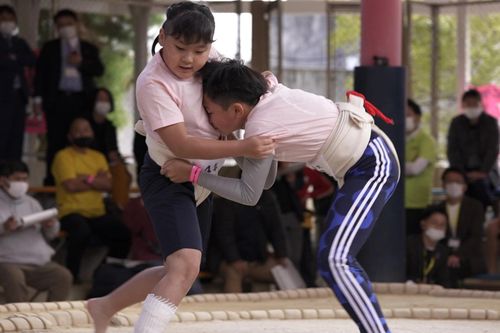 Nam giới không còn thống trị sumo