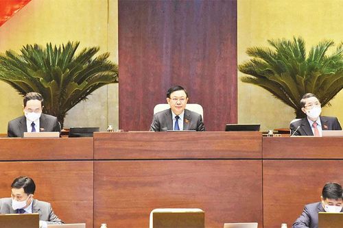 Quyết tâm phục hồi và phát triển kinh tế-xã hội