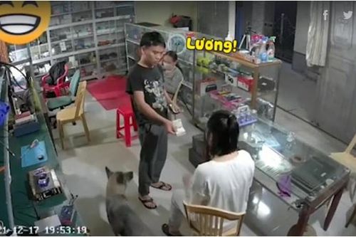 Cười ngất với ông chồng 'hét ra lửa' trước mặt 'nóc nhà'