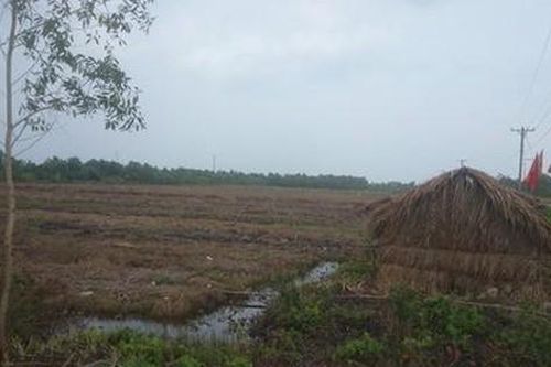 Điều tra nguyên nhân 2 người đàn ông tử vong, 3 người phải cấp cứu ở Long An