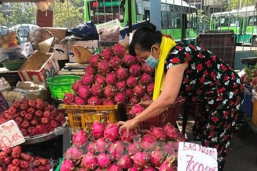 Thanh long siêu rẻ 5.000 đồng/kg tràn ngập vỉa hè ở TPHCM