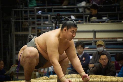 Vì sao người Mông Cổ thống trị Sumo, môn võ tinh hoa của Nhật Bản