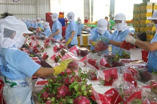 Đề xuất 4 giải pháp hỗ trợ xuất khẩu nông sản sang Trung Quốc
