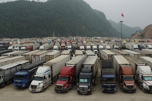 Tiêu thụ nông sản đình trệ: Bộ Nông nghiệp và Phát triển nông thôn hỏa tốc ra công văn khẩn