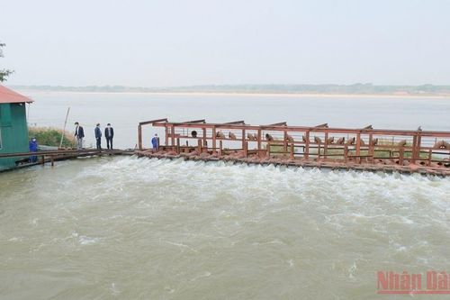 Chủ động lấy nước gieo cấy vụ đông xuân