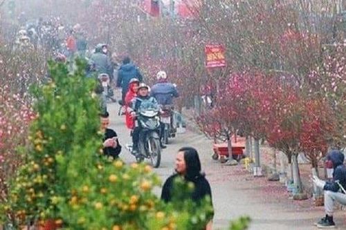 Có 78 điểm chợ hoa xuân phục vụ Tết Nguyên đán Nhâm Dần 2022 tại Hà Nội