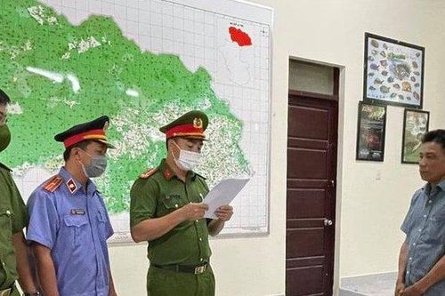 Vạch trần vụ hai cán bộ kiểm lâm nhận hối lộ để cho hàng chục lâm tặc phá rừng