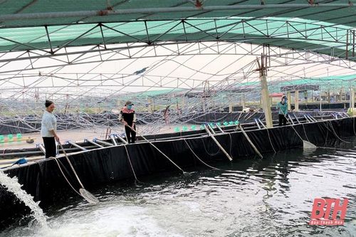 'Trẻ hóa' nông nghiệp