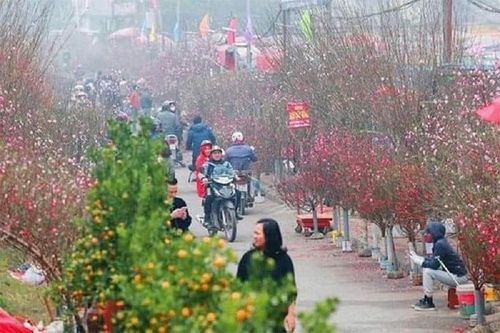 Hà Nội: Tổ chức 78 điểm chợ hoa Xuân phục vụ Tết Nguyên đán