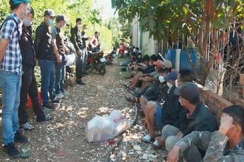 Đột kích sới đá gà ăn tiền trong rẫy cà phê, bắt 26 đối tượng