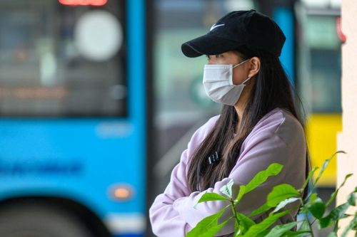 Thanh Hóa tạm dừng vận tải khách đi Hải Phòng