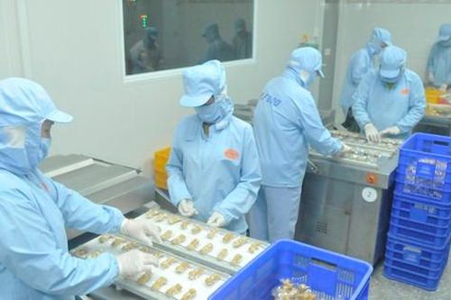 Xuất nhập khẩu trở thành điểm sáng của kinh tế Việt Nam