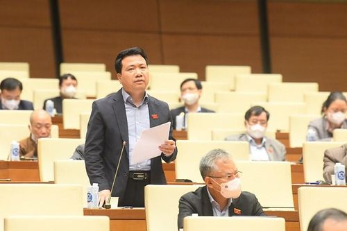 Đại biểu Quốc hội lo ngại thất thoát nguồn lực đất đai nếu không qua đấu giá