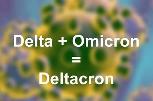 Chuyên gia đảo Síp bác bỏ hoài nghi về biến thể lai mới Deltacron