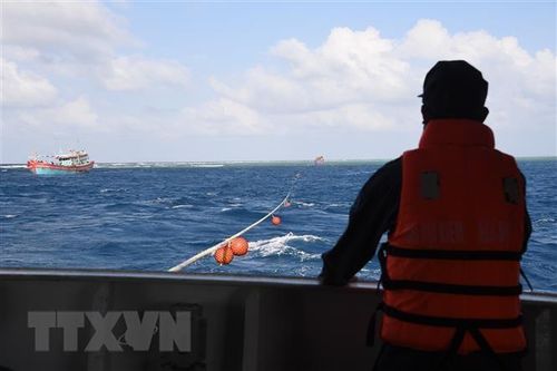 Cứu kéo thành công tàu cá bị mắc cạn tại vùng biển Trường Sa