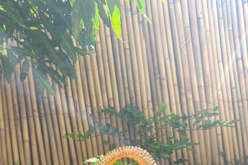 Đi chợ