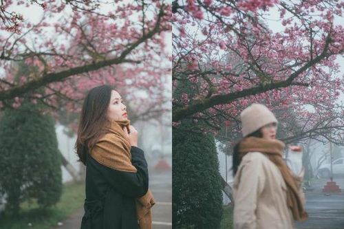 Nhờ bạn chụp ảnh, cô gái chỉ biết 'câm nín' khi nhận thành quả