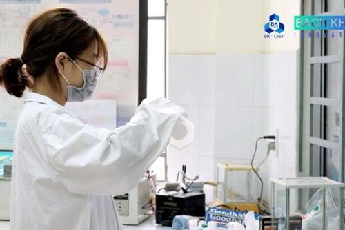 Giấy từ vỏ sò