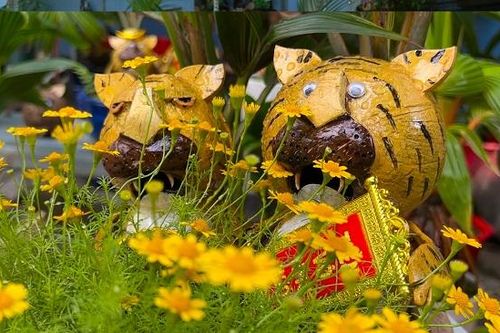 Độc đáo bonsai dừa hình hổ tiền triệu hút khách chơi Tết