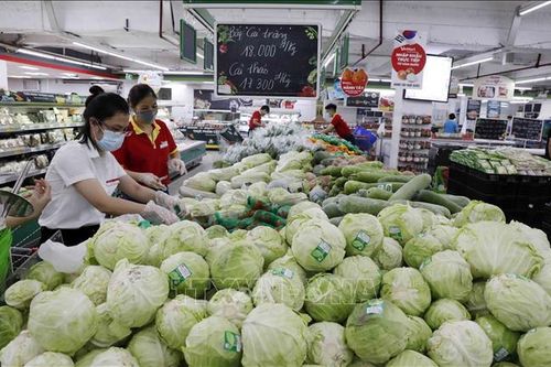 Hỗ trợ tiêu thụ nông sản nội địa để giảm áp lực cho xuất khẩu