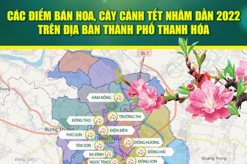 Các điểm bán hoa, cây cảnh Tết Nhâm Dần 2022 trên địa bàn TP Thanh Hóa