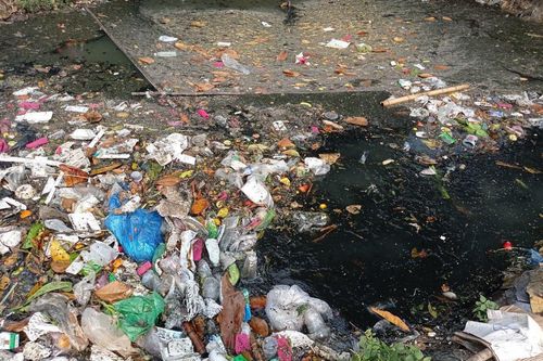 Túi nilon dùng 1 lần - tiện dụng cao đi kèm ô nhiễm lớn