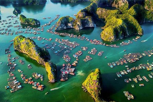 'Chiều trên vịnh Cát Bà' giành huy chương Vàng cuộc thi ảnh quốc tế