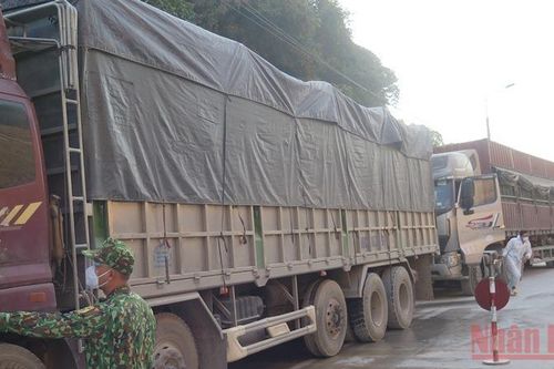 Tạm dừng tiếp nhận phương tiện chở hoa quả tươi đến các cửa khẩu tỉnh Lạng Sơn