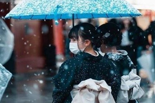 Nhật Bản: Tokyo đẹp huyền ảo khi tuyết rơi dày những ngày đầu năm