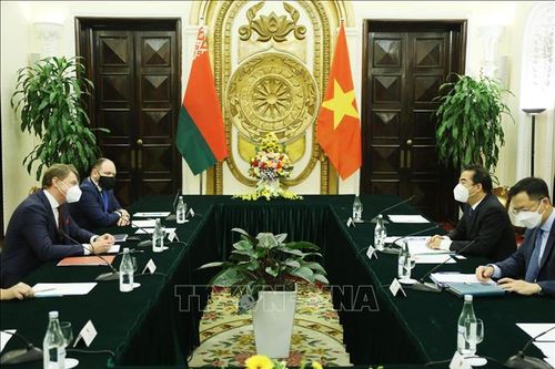 Tham vấn chính trị cấp Thứ trưởng Ngoại giao Việt Nam - Belarus