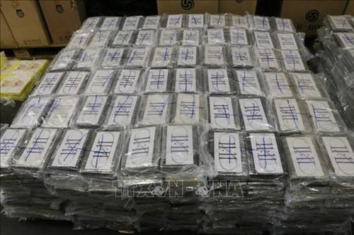 Bỉ: Lượng cocaine bị thu giữ trong năm 2021 lên mức kỷ lục gần 90 tấn