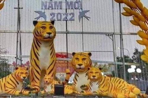 Dân mạng thích thú chia sẻ loạt ảnh linh vật chúa sơn lâm với vẻ mặt buồn thiu nhưng ánh mắt 'xéo sắc'